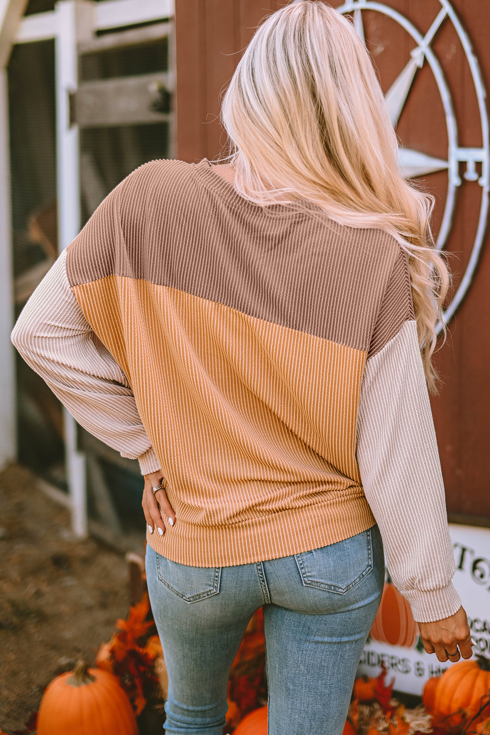 Emilia | Ribbed Colorblock Long Sleeve Top